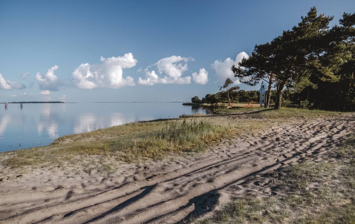 Ruhiger Naturstrand am Achterwasser auf Usedom mit Sandweg, Bäumen und spiegelglatter Wasseroberfläche unter blauem Himmel