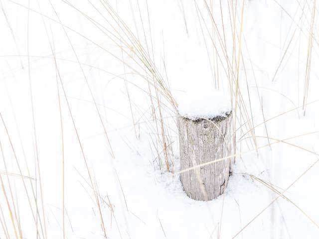 Verschneiter Ostseestrand in Ahlbeck auf Usedom im Winter