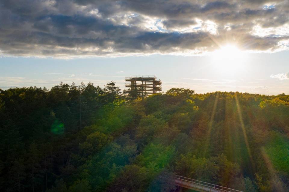 Baumwipfelpfad in Heringsdorf auf der Insel Usedom, umgeben von Wald, im warmen Licht der untergehenden Sonne