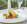 Gastronomie im Hotel Das Ahlbeck