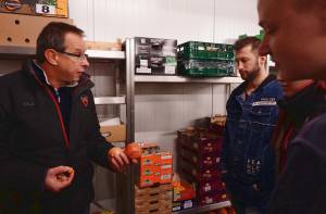 Von fliegenden Früchtchen  Symbolfoto