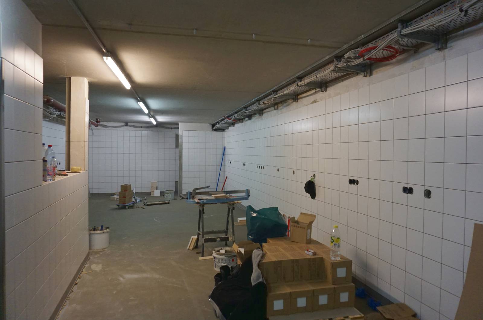 Gründlicher Frühjahrsputz  Symbolfoto