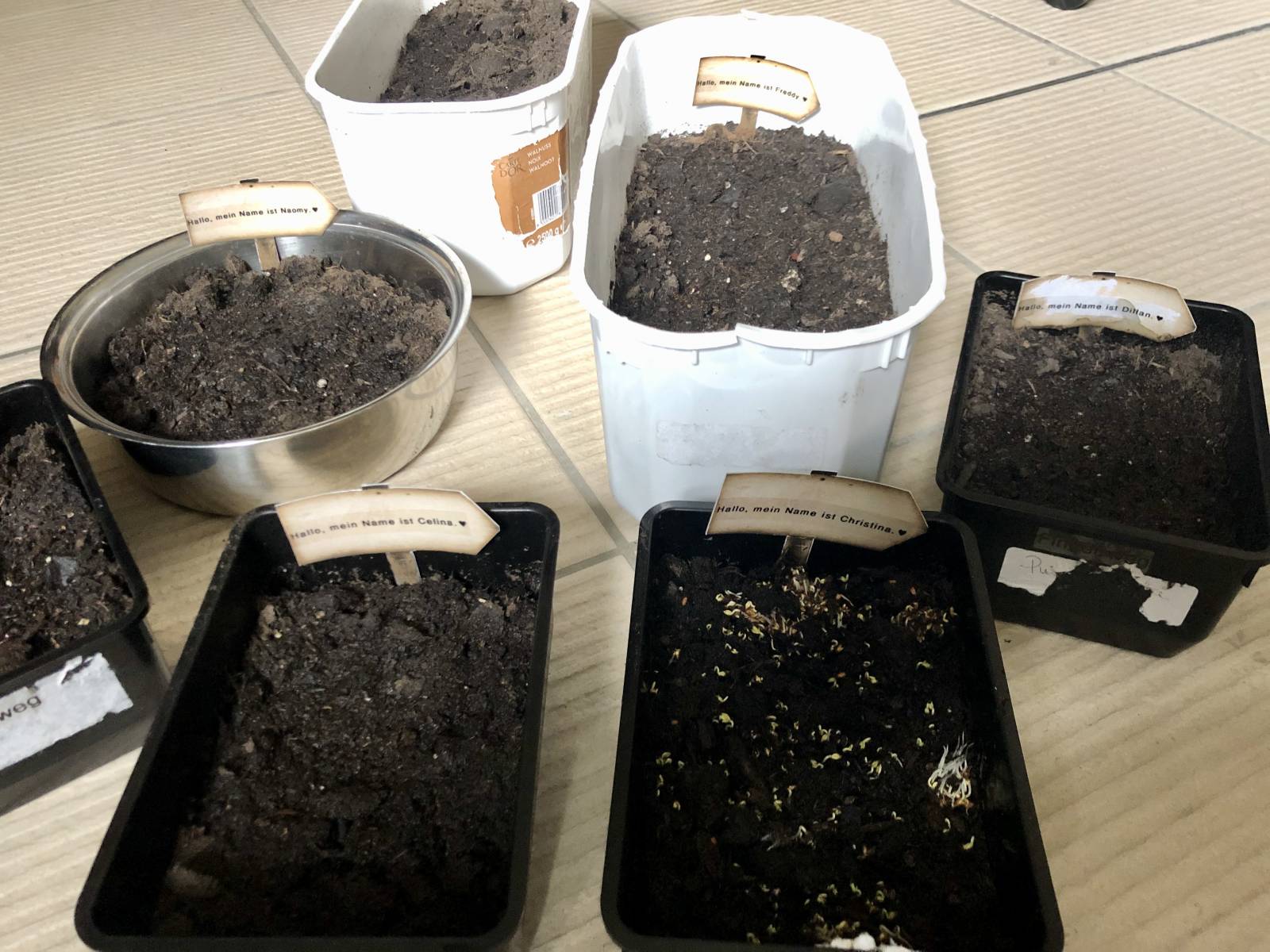 Stillstand ist für uns ein Fremdwort Symbolfoto