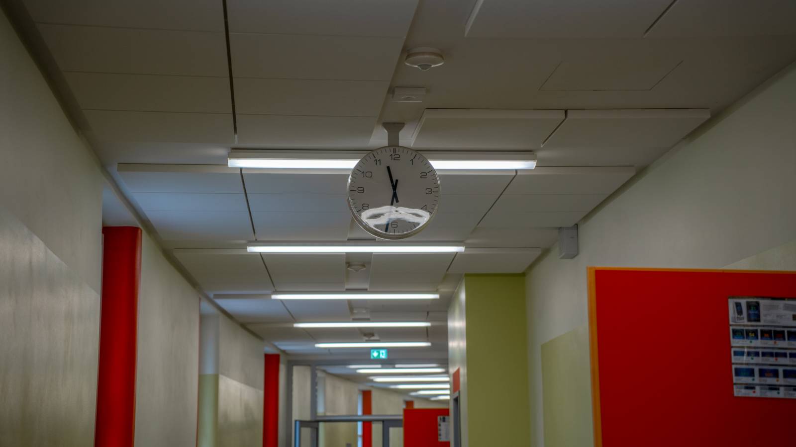 Ein Tag voller Freude Symbolfoto