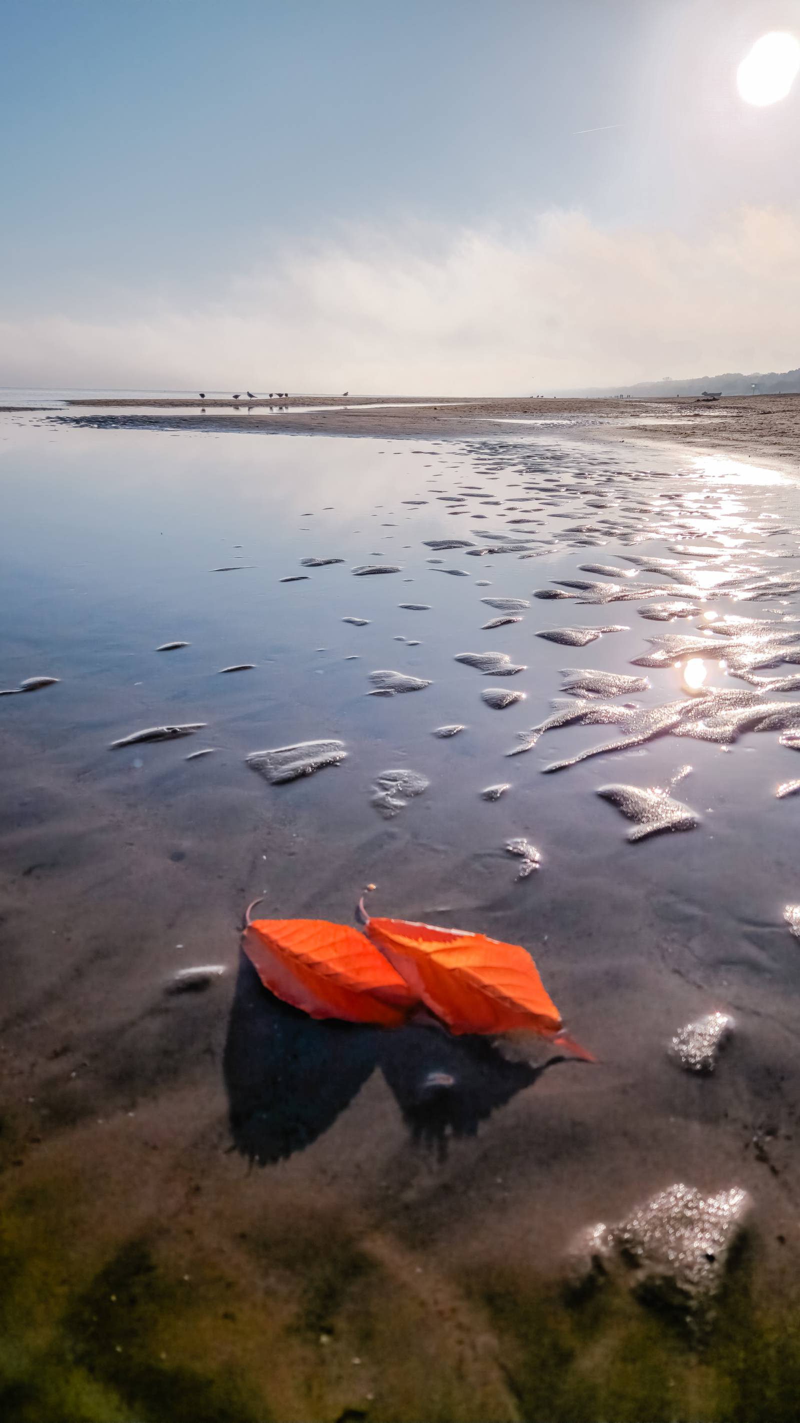 Herbstzauber auf Usedom  Symbolfoto