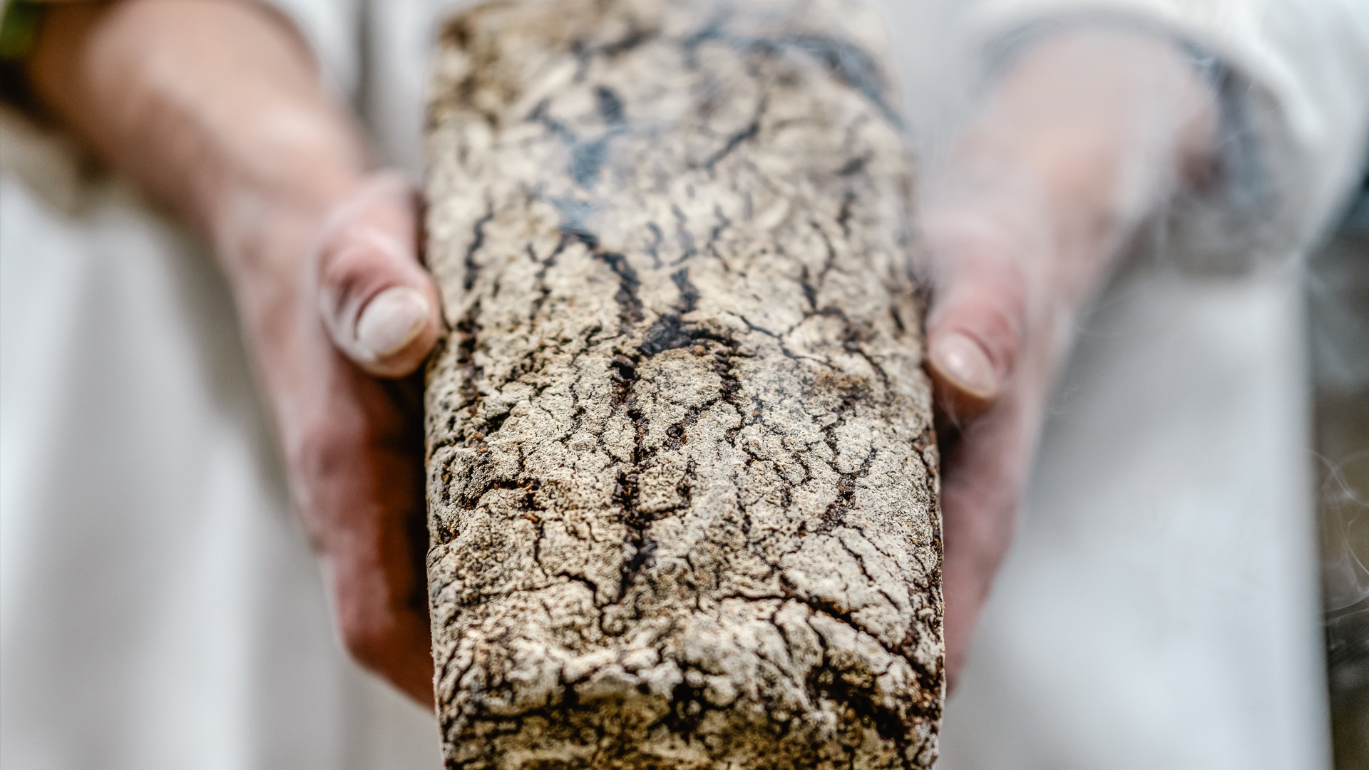 Handgemachtes, frisch gebackenes Brot aus der Bäckerei DER AHLBÄCKER, das noch warm in den Händen eines Bäckers präsentiert wird
