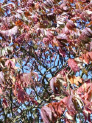 Unser Herbstspecial für Sie! Symbolfoto