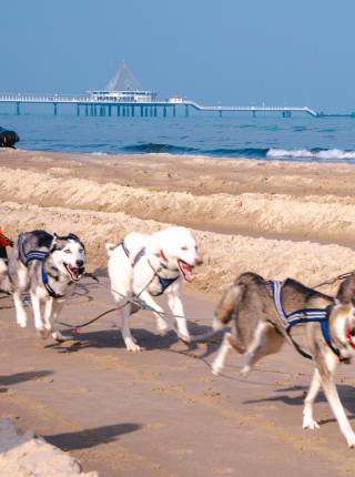 Das Event des Jahres Symbolfoto
