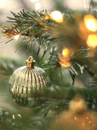 Weihnachtszeit im DAS AHLBECK auf Usedom - Wo der Zauber zuhause ist Symbolfoto