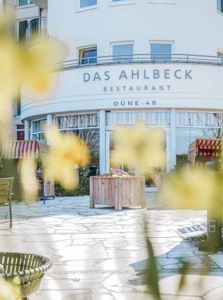 Frühling auf Usedom – ein besonderes Erlebnis Symbolfoto