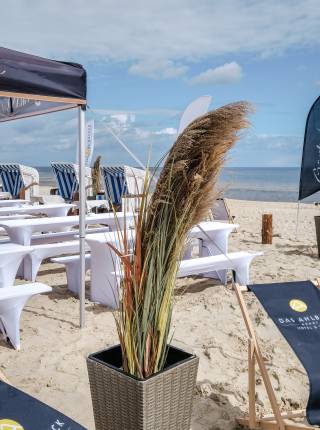 Schlemmen mit allen Sinnen Symbolfoto