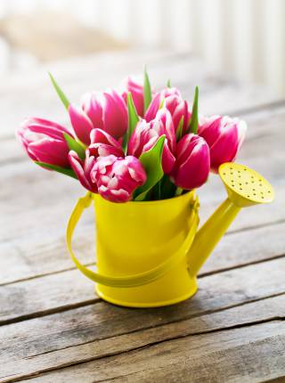 1. Ahlbecker Frühlingsmarkt Symbolfoto