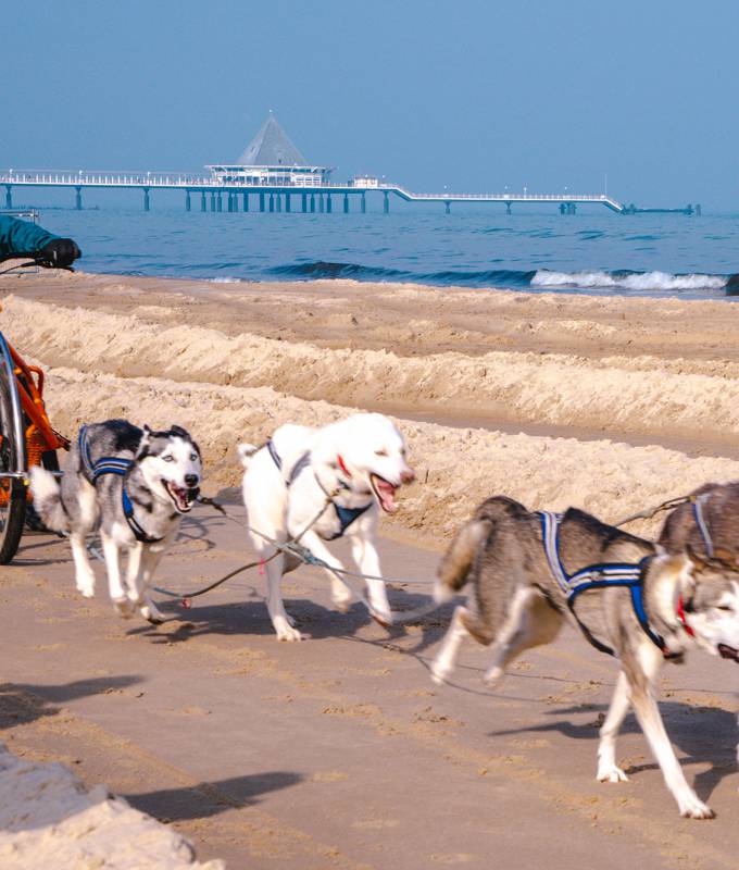 Das Event des Jahres Symbolfoto