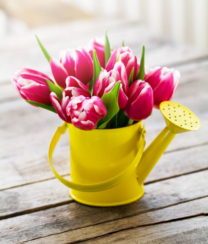 1. Ahlbecker Frühlingsmarkt Symbolfoto